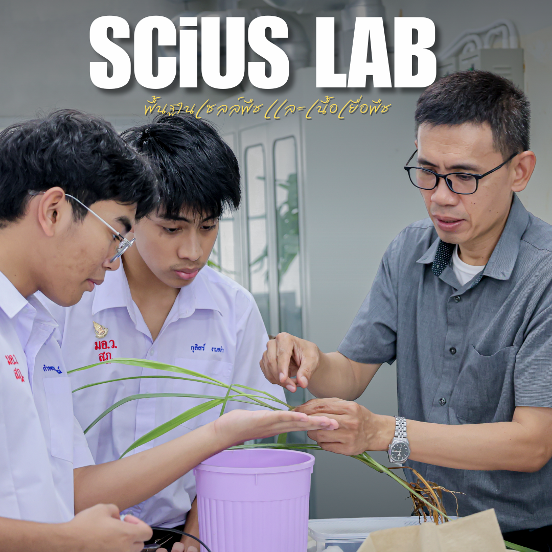 บทปฏิบัติการทางวิทยาศาสตร์ รายวิชา พฤกษศาสตร์ กับบทปฏิบัติการ 🌱 " พื้นฐานเซลล์พืช และเนื้อเยื่อพืช "