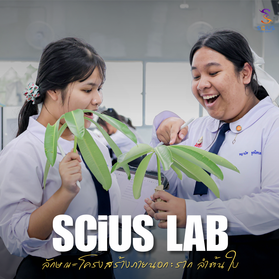🌱🔬 เจาะลึกความมหัศจรรย์ของพรรณไม้... สู่บทปฏิบัติการพฤกษศาสตร์ 📝💚